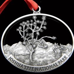 Joshua Tree National Park