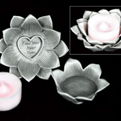 L Flower with a black background