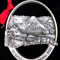 Petrified Forest National Park