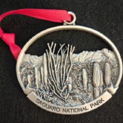 Saguaro National Park