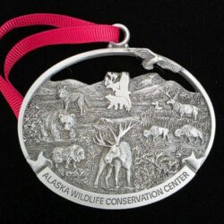 Alaska Wildlife Conservation Center